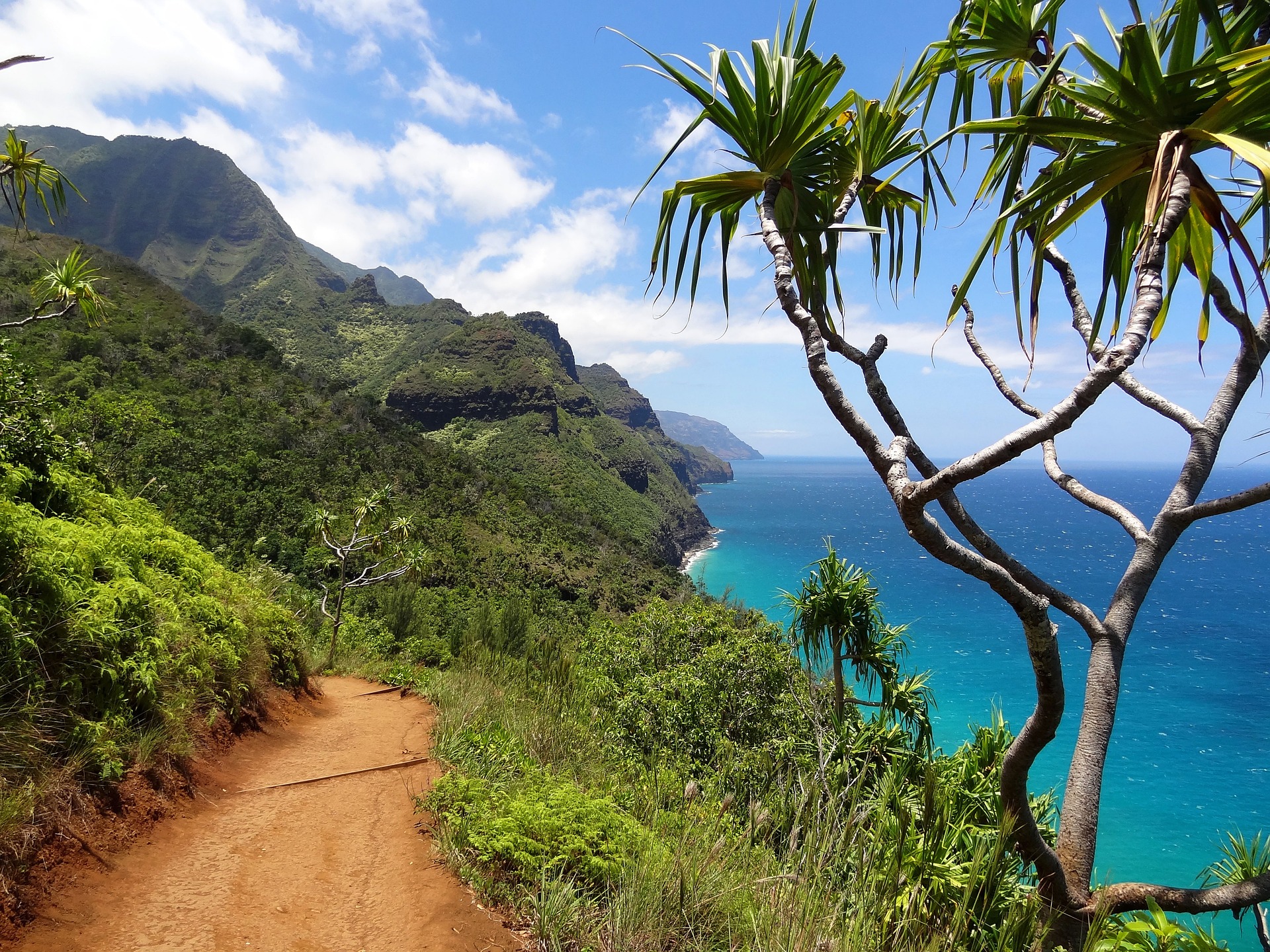 Create the perfect Hawaiian Dream Home