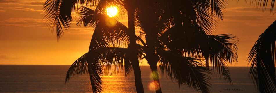 Health Advantages of the Natural Hawaiian Lifestyle